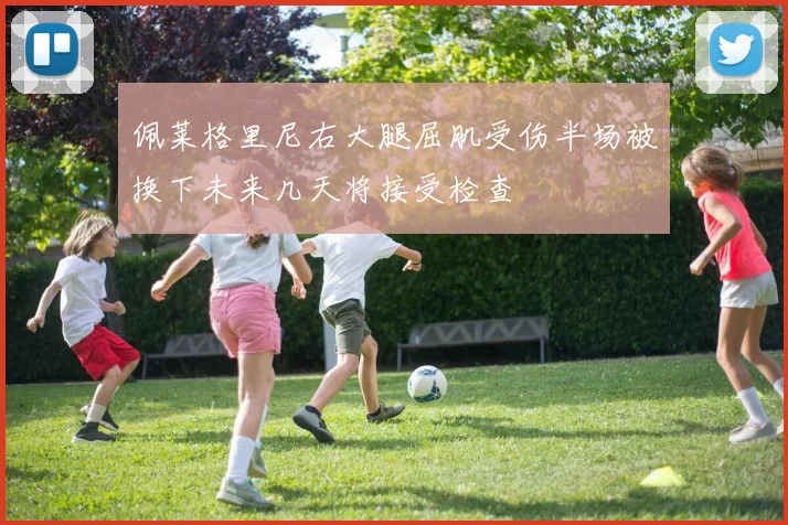 佩莱格里尼右大腿屈肌受伤半场被换下未来几天将接受检查