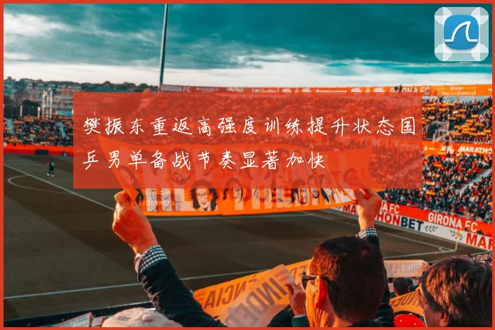 樊振东重返高强度训练提升状态国乒男单备战节奏显著加快